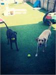 daycare pic 62 - benson and eames